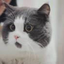 云涌的个人资料头像