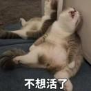 爱学习的个人资料头像