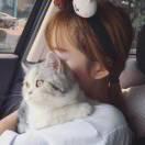 沐夏的个人资料头像