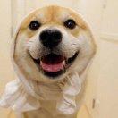 佐赤的个人资料头像