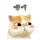 baolin的个人资料头像