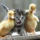 郑建的个人资料头像