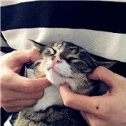 泽衍同学的个人资料头像