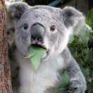 MrD同学92770的个人资料头像