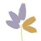 AMANDA的个人资料头像