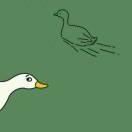 飞科儿的个人资料头像