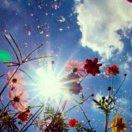 Daisy重名了92906的个人资料头像