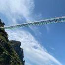 嗨呀的个人资料头像