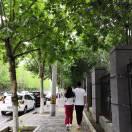 秋水恋凡尘的个人资料头像