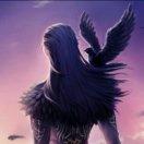 刹猡的个人资料头像