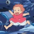 木木爱学习92955的个人资料头像