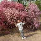 爱是付出的个人资料头像