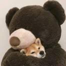 sily92984的个人资料头像