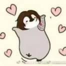 阿云奶盖的个人资料头像