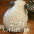 白丶马非马的个人资料头像