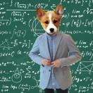 Mr_Whenever的个人资料头像