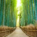 趁现在的个人资料头像