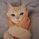 undefined的个人资料头像