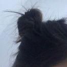 波妞的个人资料头像