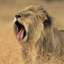 ken君93169的个人资料头像