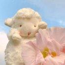 静93241的个人资料头像