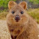 努力努力再努力93289的个人资料头像