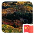 安在掘金93308的个人资料头像