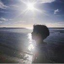 橘子洲的枫叶树的个人资料头像