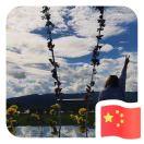 Dummy的个人资料头像