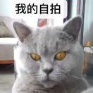 rochestor同志的个人资料头像