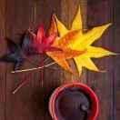 A小方的个人资料头像