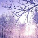 陌上初熏就是我的个人资料头像