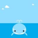 范云龙的个人资料头像