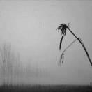 木空的个人资料头像