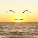 汪洋爱学习93714的个人资料头像