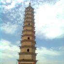 雪狼王的个人资料头像