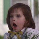 YQ的个人资料头像