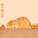 走走停停酱的个人资料头像