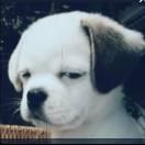 J重名了97459的个人资料头像