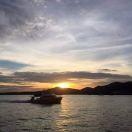 野就是我的个人资料头像