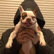 Guxiaobai21的个人资料头像