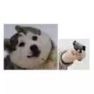 水镜就是我的个人资料头像