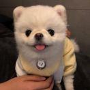 Eric酱97484的个人资料头像