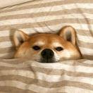 晴天爱学习97485的个人资料头像