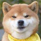 abc风起云涌的个人资料头像