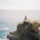 林凯重名了的个人资料头像