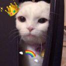 Diamond的个人资料头像