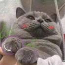 康伟伟的个人资料头像