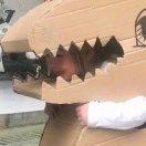 泽斌的个人资料头像