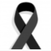 qzi的个人资料头像